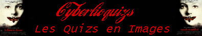 Cyberlioquizs, les quizs en images
